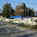 Around the Marina