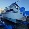 IMG_2465 IMG_2465