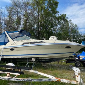 1988 Thunder Craft 290