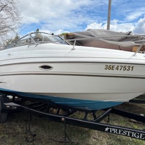 2002 GLASTRON GS229